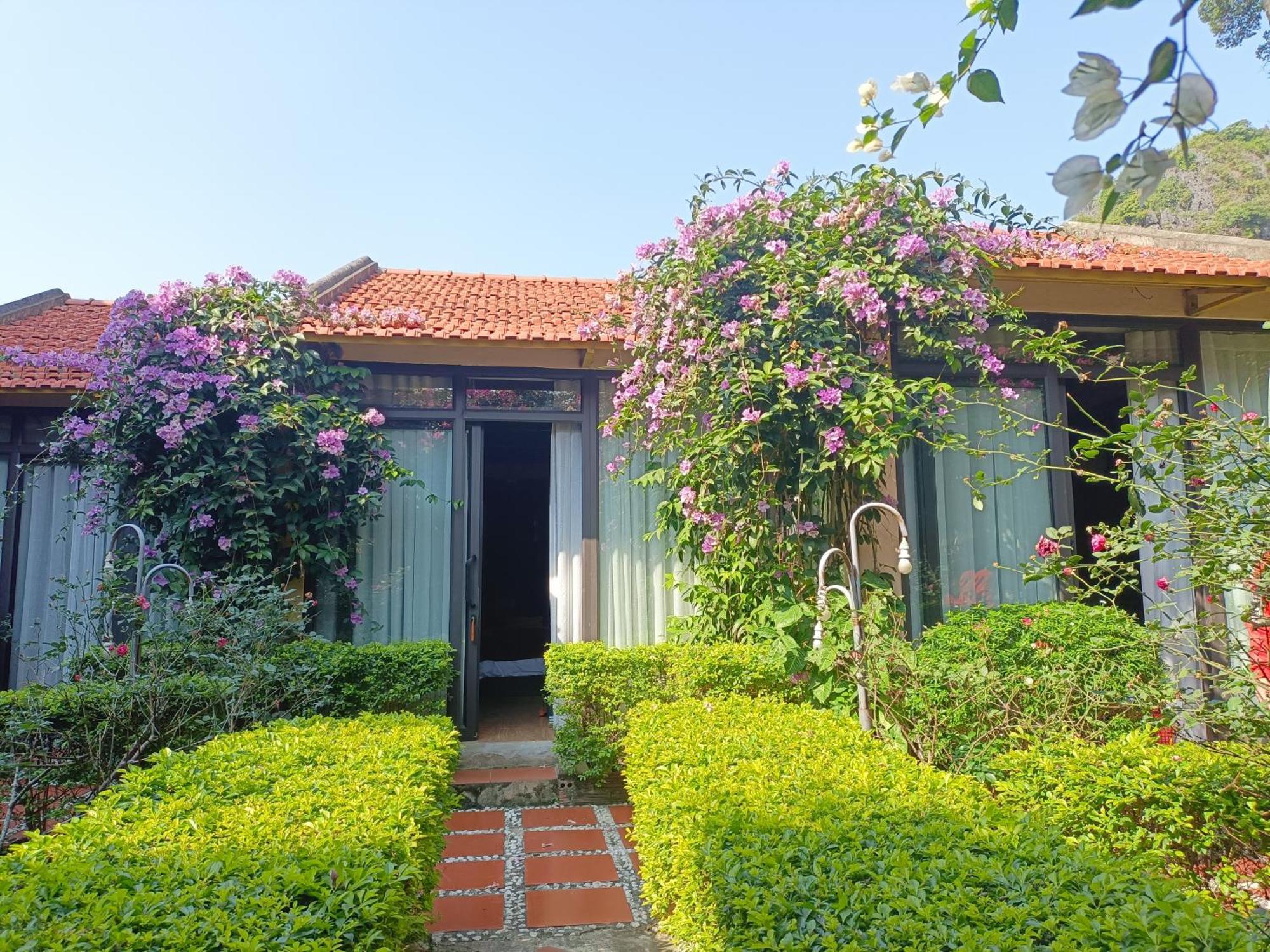 Tam Coc Sunshine Homestay Ninh Binh Dış mekan fotoğraf