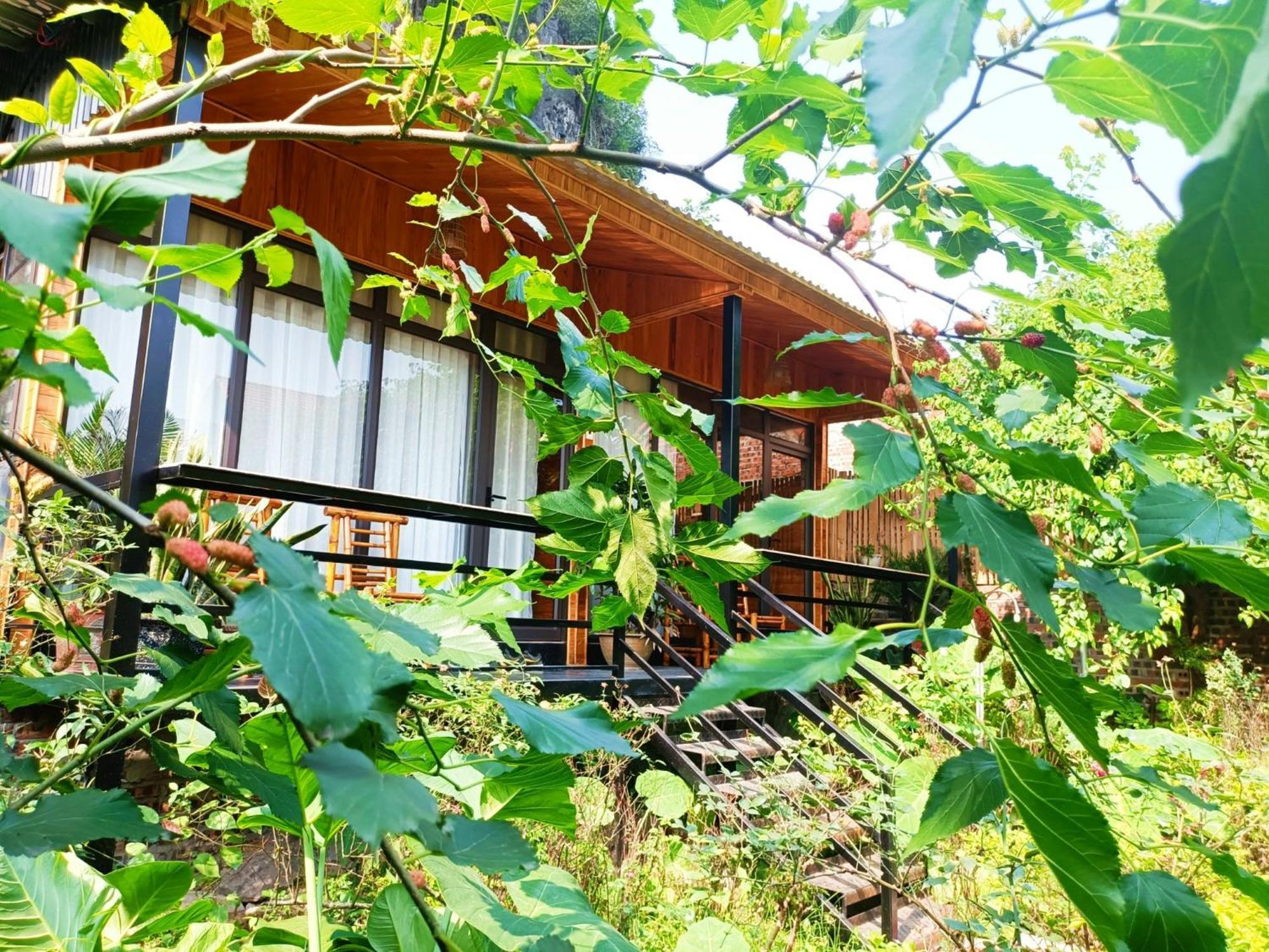 Tam Coc Sunshine Homestay Ninh Binh Dış mekan fotoğraf