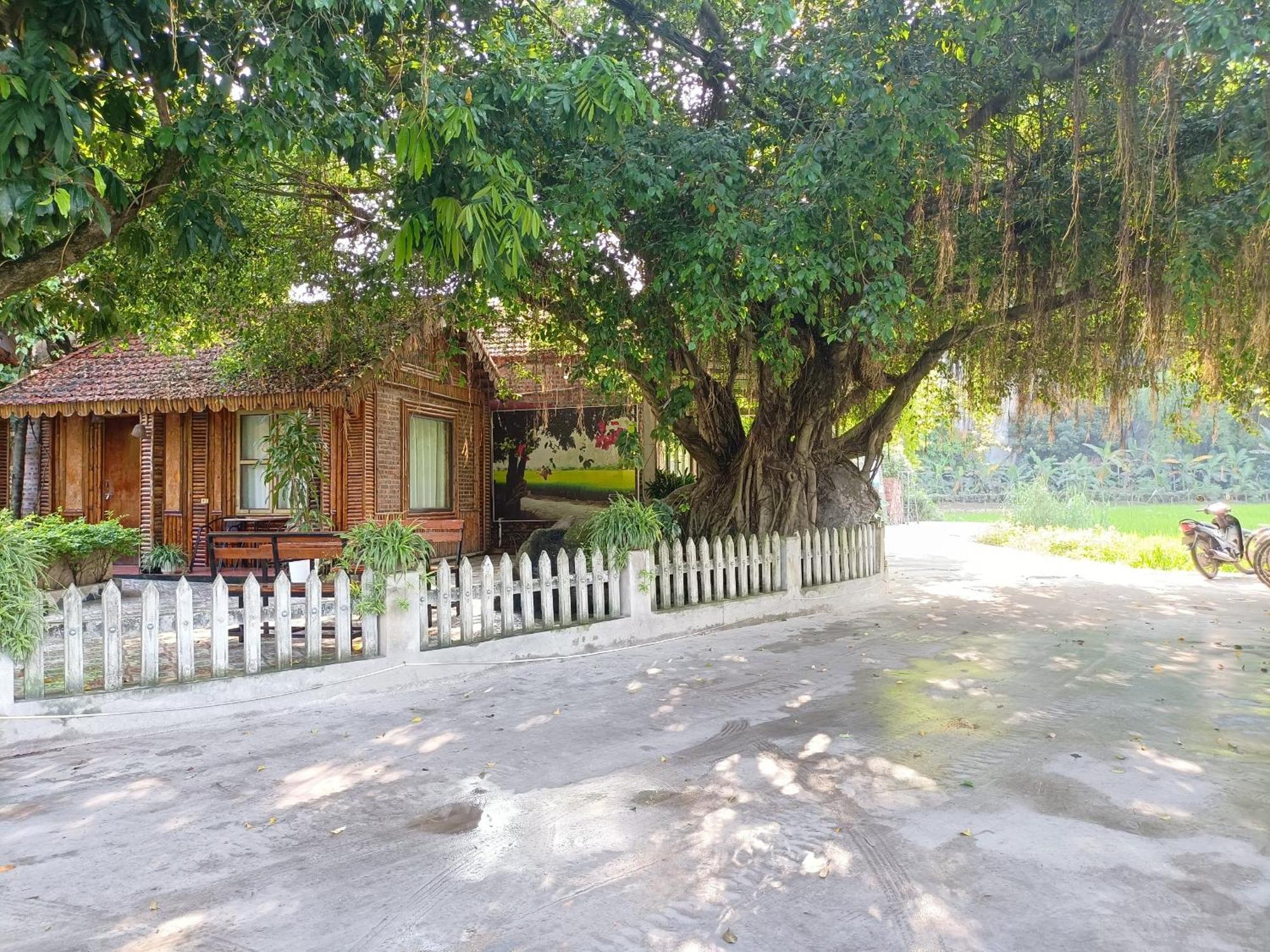 Tam Coc Sunshine Homestay Ninh Binh Dış mekan fotoğraf
