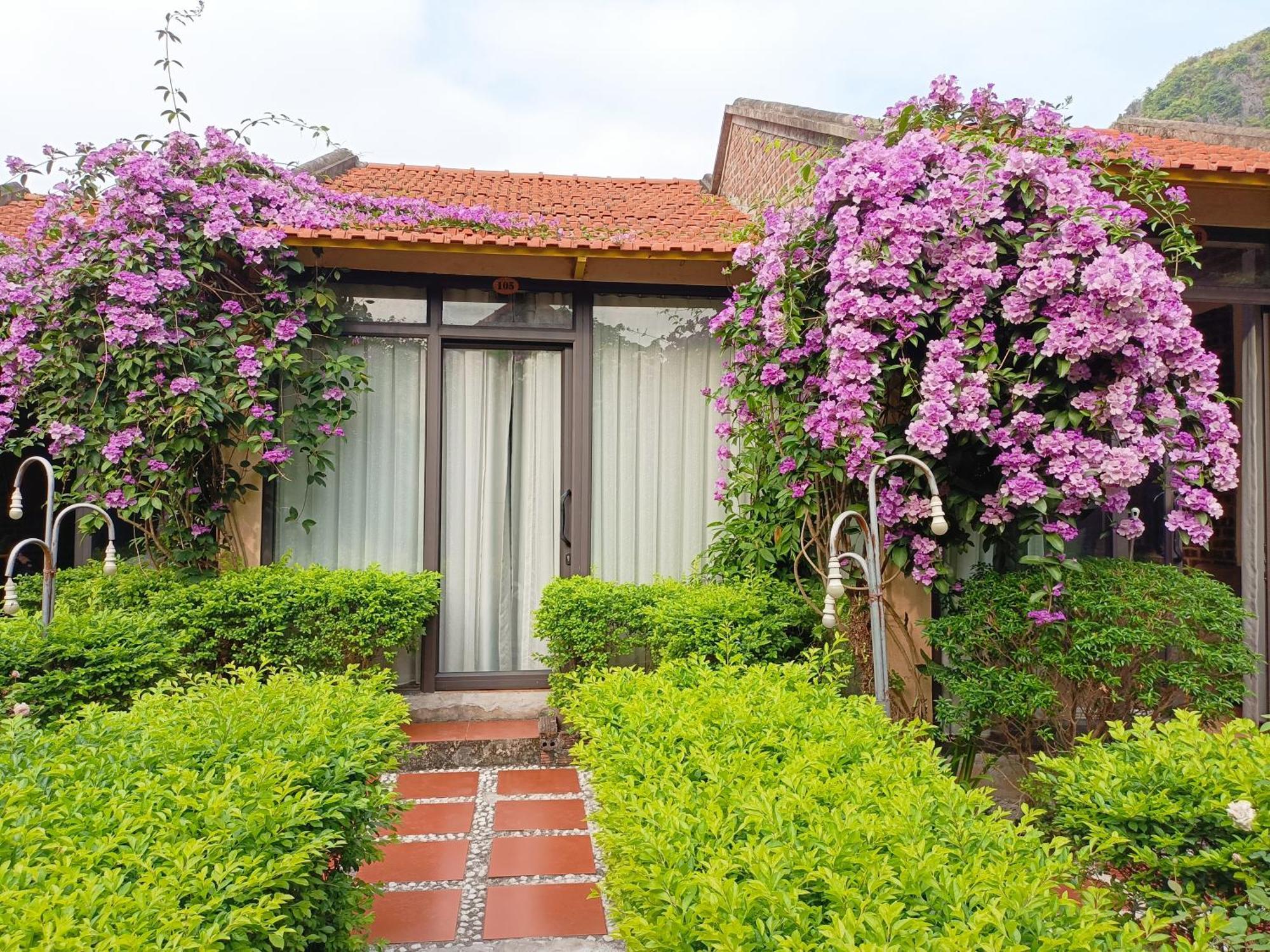 Tam Coc Sunshine Homestay Ninh Binh Dış mekan fotoğraf