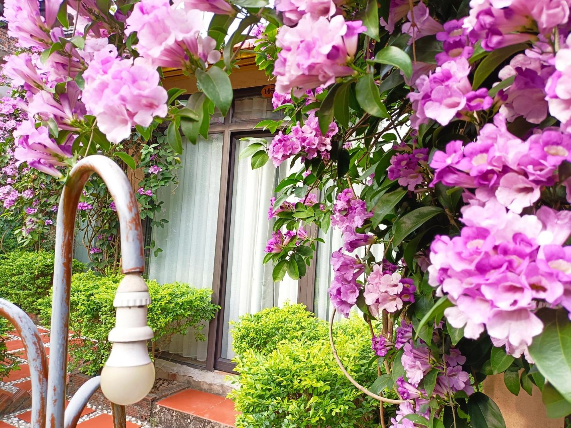 Tam Coc Sunshine Homestay Ninh Binh Dış mekan fotoğraf