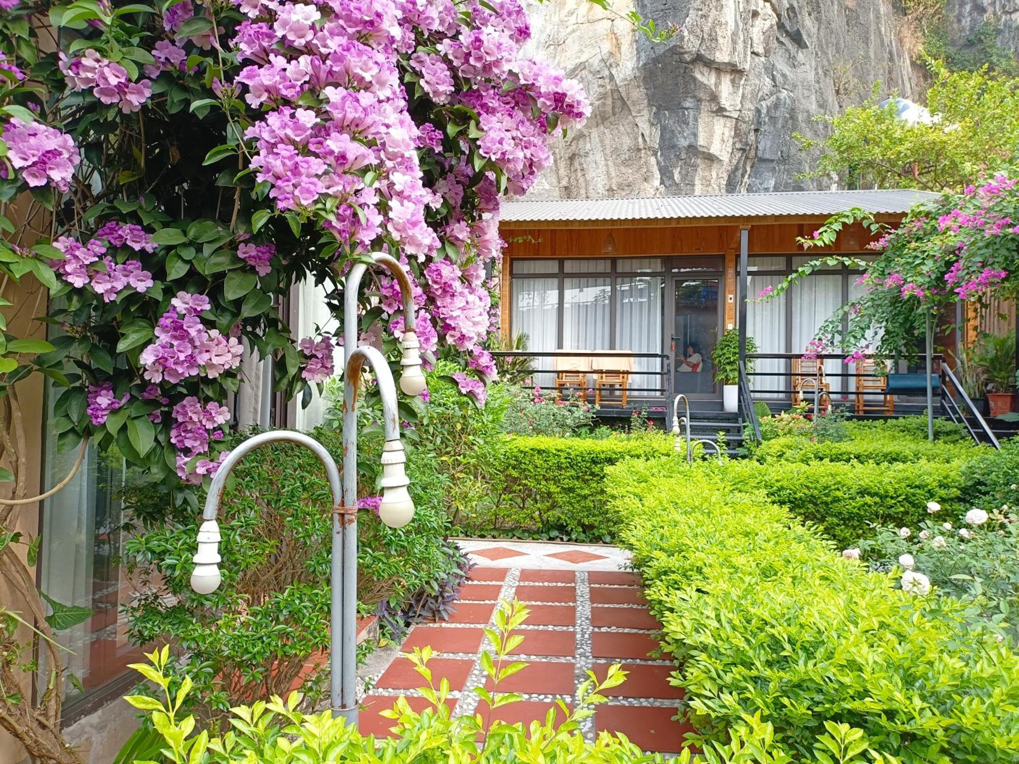 Tam Coc Sunshine Homestay Ninh Binh Dış mekan fotoğraf