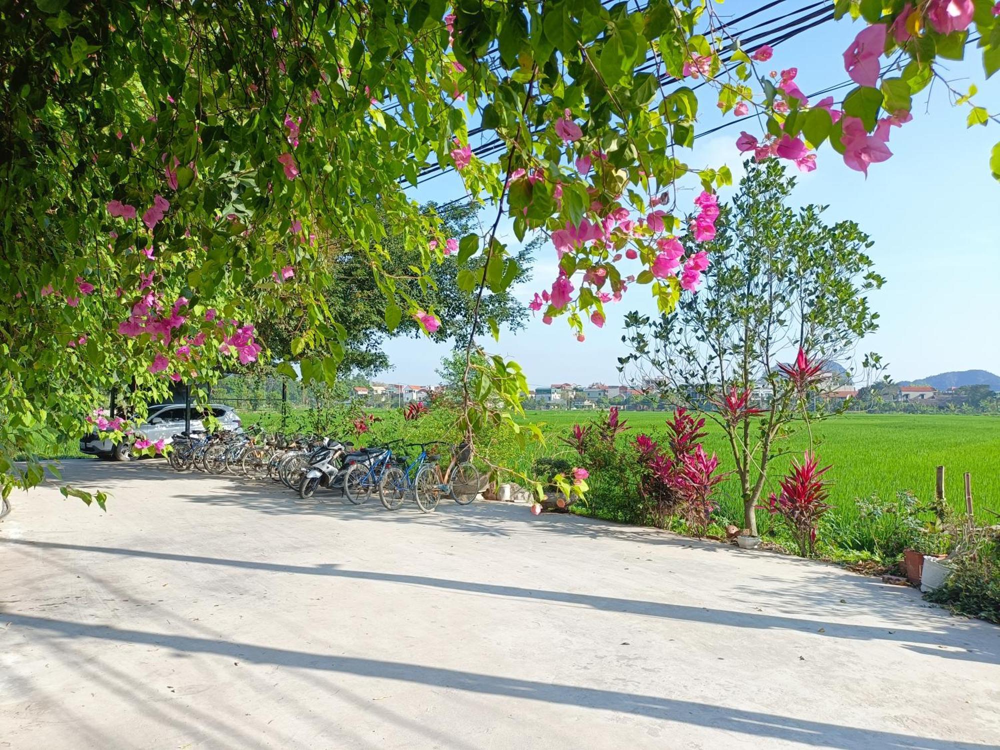 Tam Coc Sunshine Homestay Ninh Binh Dış mekan fotoğraf