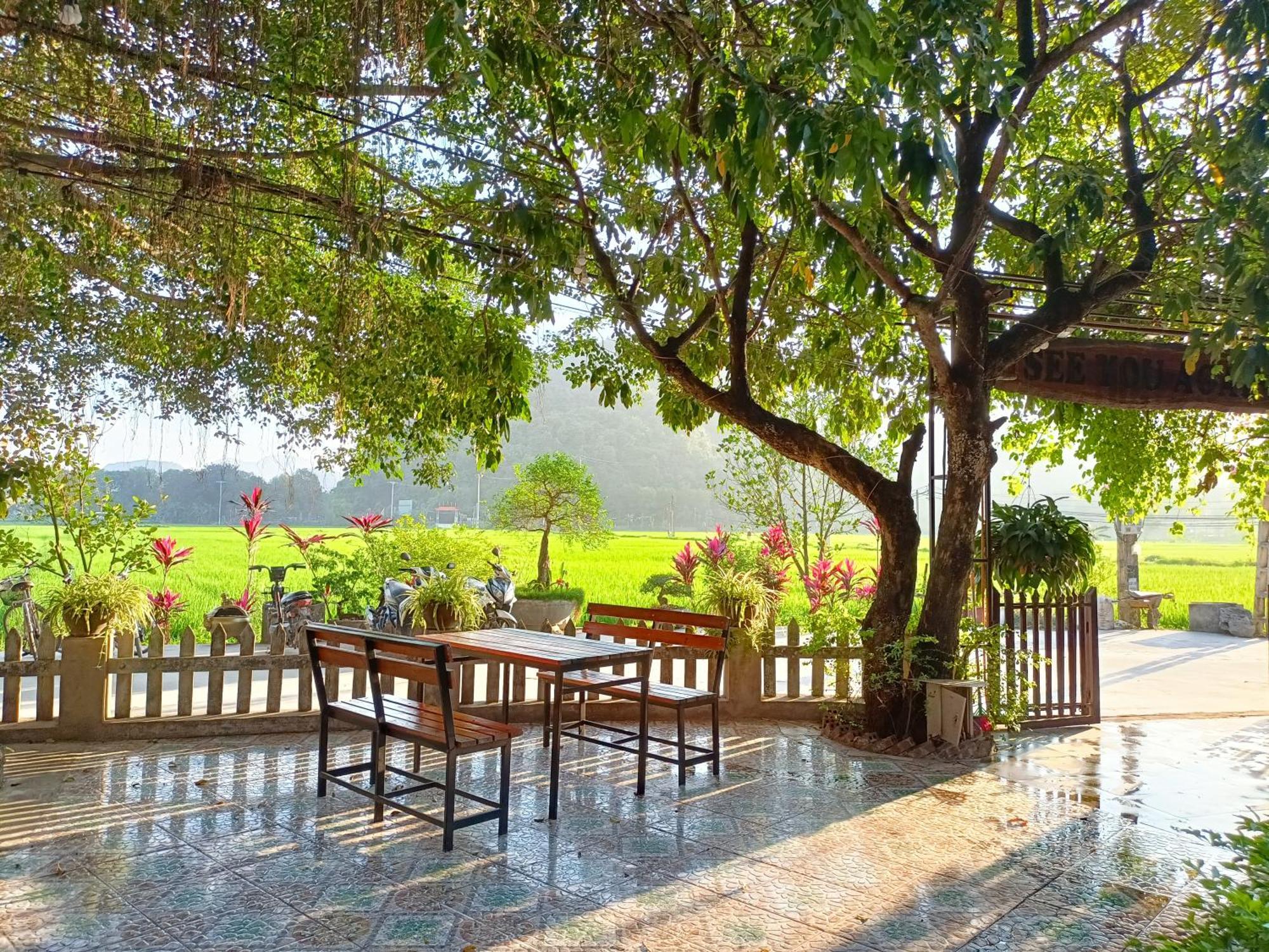 Tam Coc Sunshine Homestay Ninh Binh Dış mekan fotoğraf