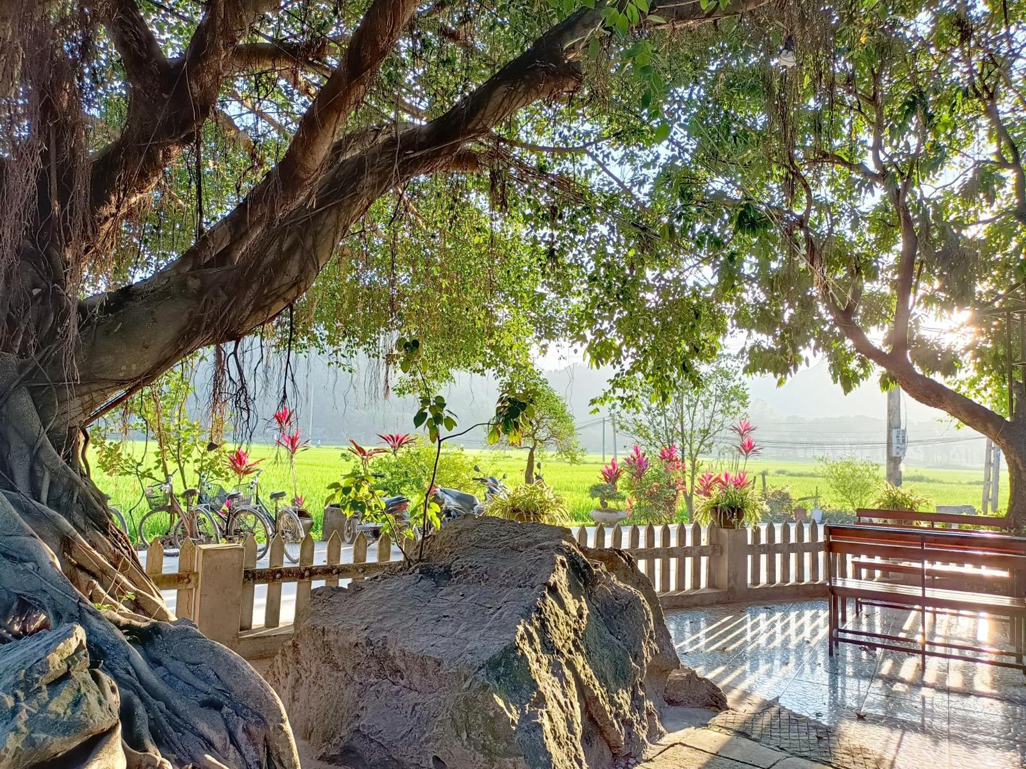 Tam Coc Sunshine Homestay Ninh Binh Dış mekan fotoğraf