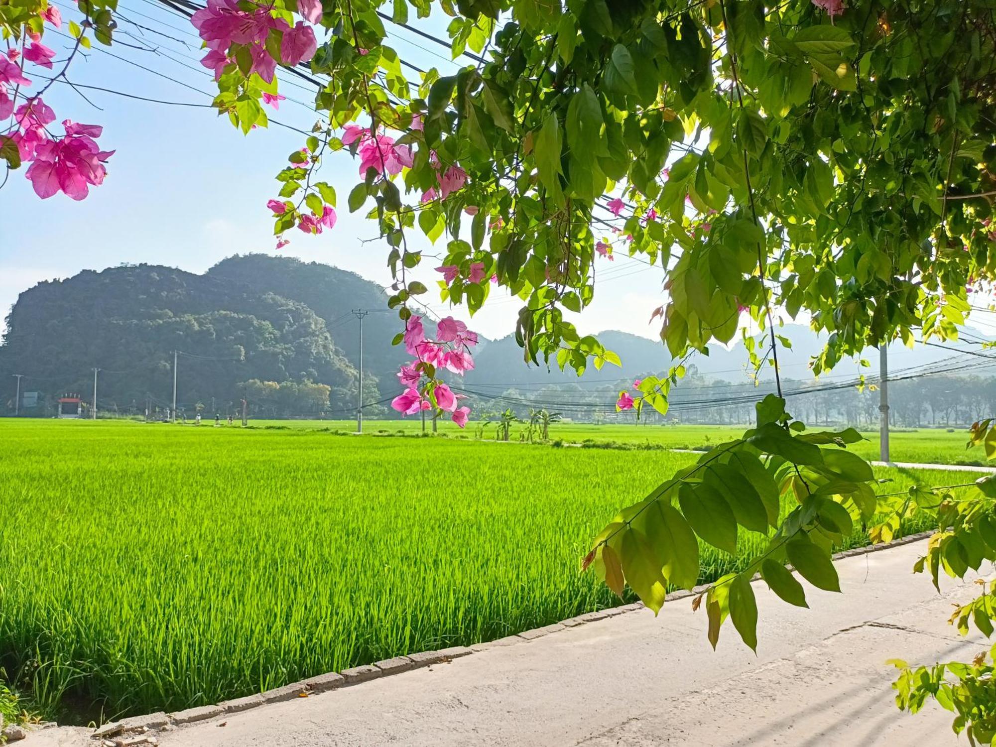Tam Coc Sunshine Homestay Ninh Binh Dış mekan fotoğraf
