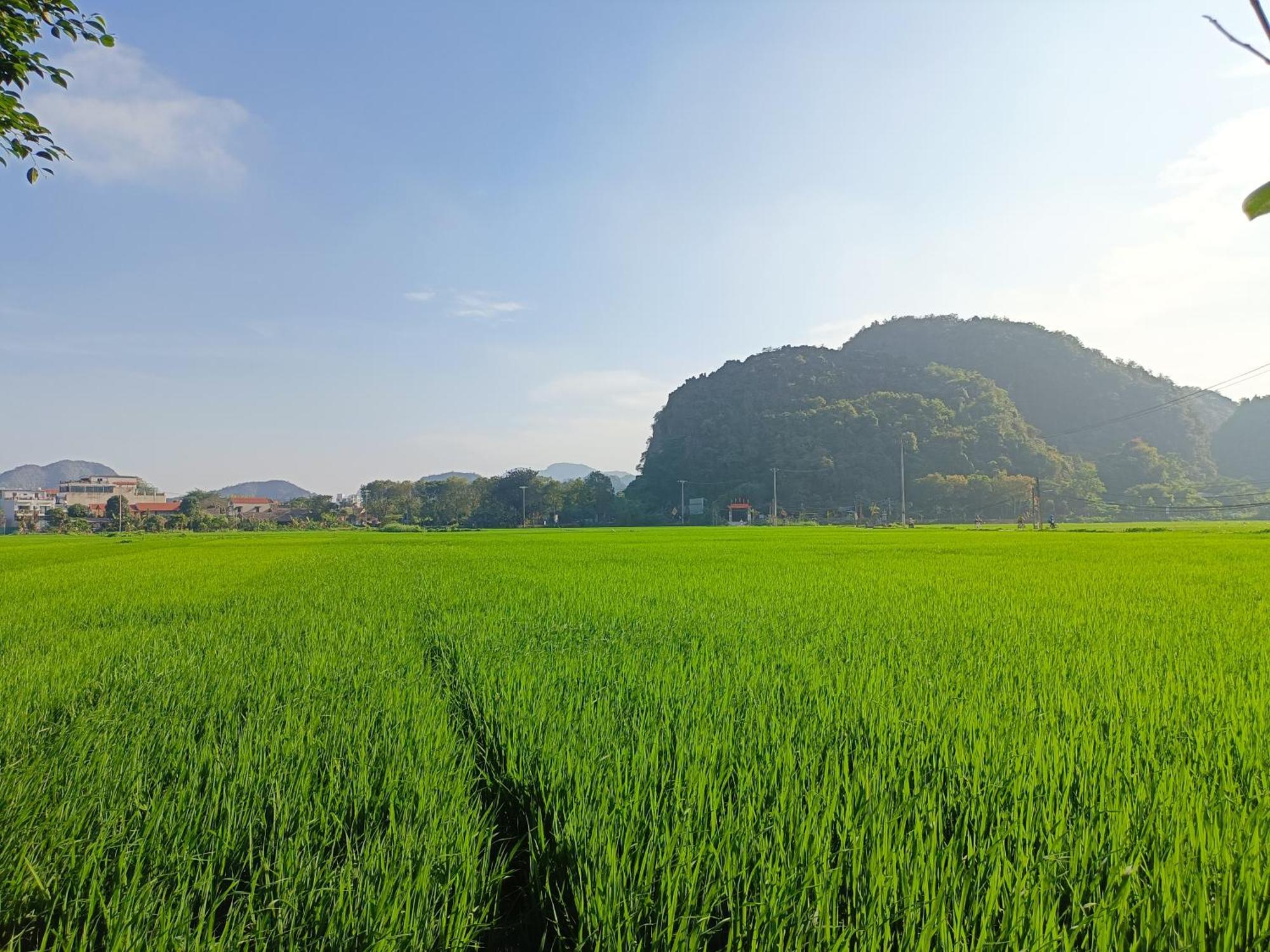 Tam Coc Sunshine Homestay Ninh Binh Dış mekan fotoğraf