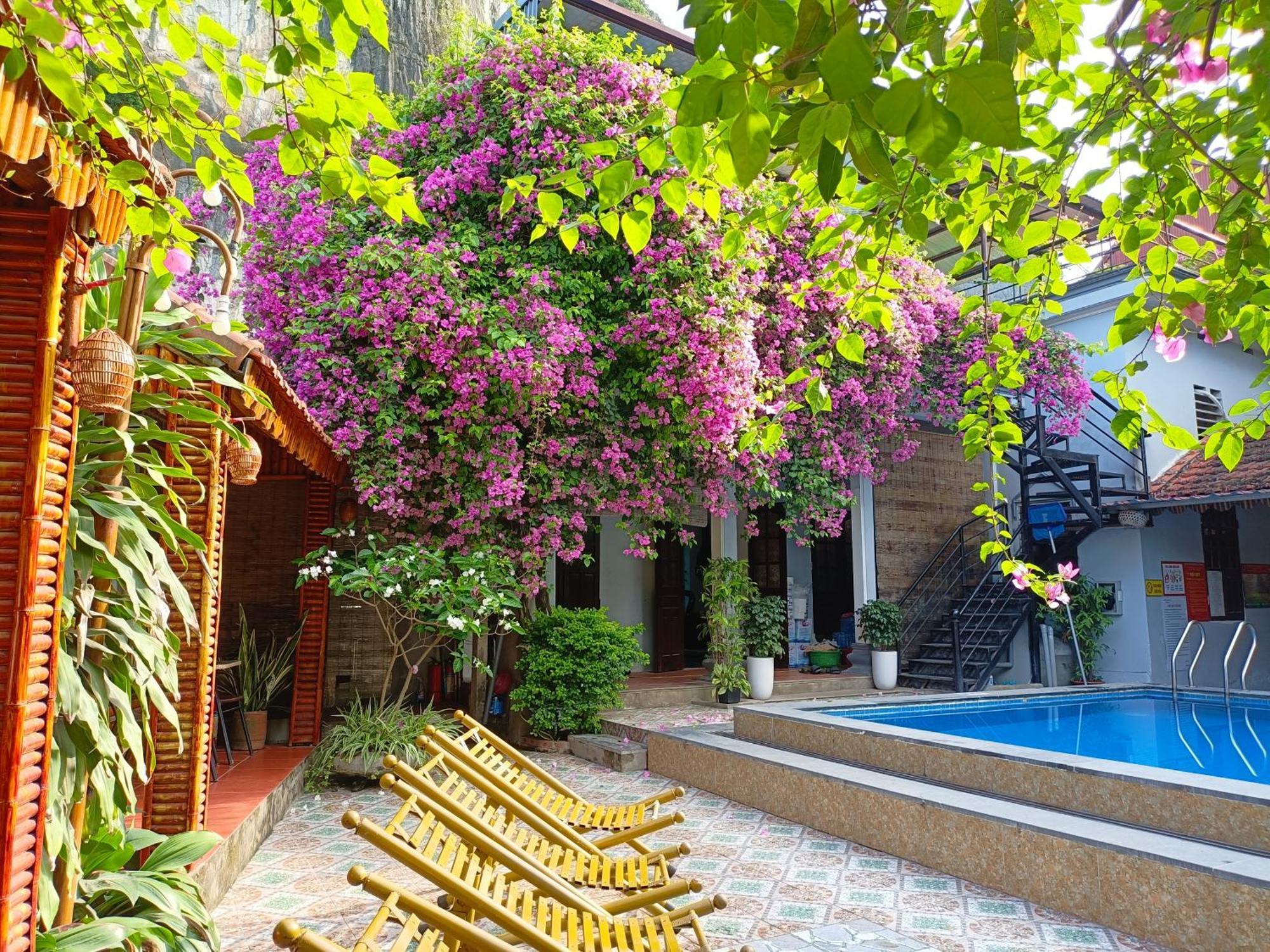 Tam Coc Sunshine Homestay Ninh Binh Dış mekan fotoğraf